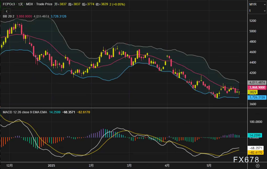 【XM官网】布林带收口预警!棕榈油即将选择终极方向?(图2)